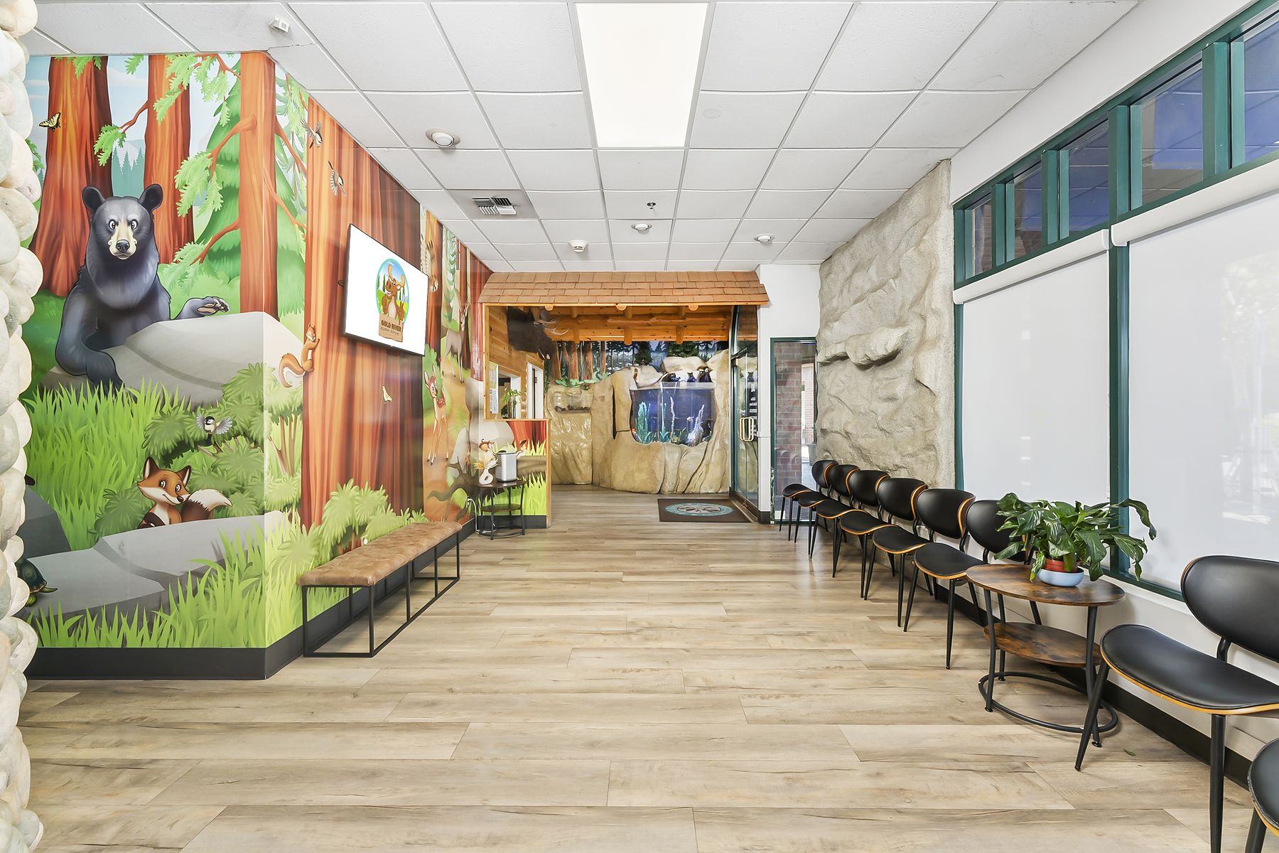 Waiting area with a black bear and fox mural at Gold River Pediatric Dentistry
